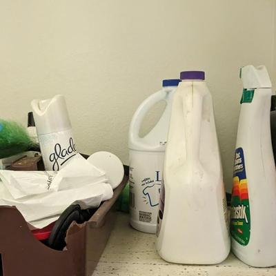 Cleaning Crew