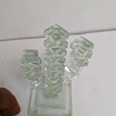 Glass Cactus'