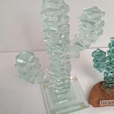 Glass Cactus'