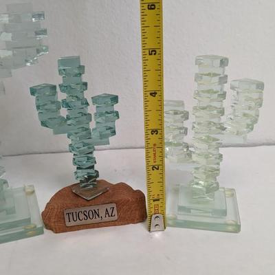 Glass Cactus'