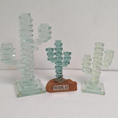 Glass Cactus'