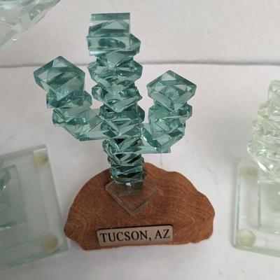 Glass Cactus'