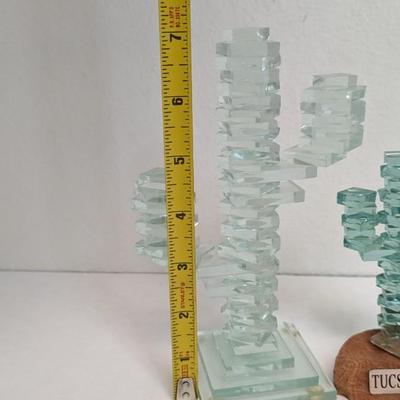 Glass Cactus'