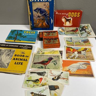 Animal books, cards & WWII tokens