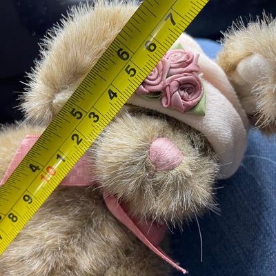 Boydâ€™s bear-Lucinda