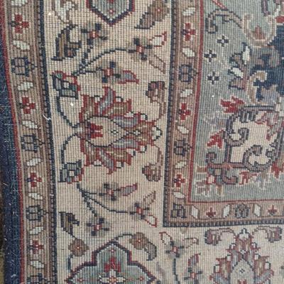 Persian Style Area Rug with Fringe
