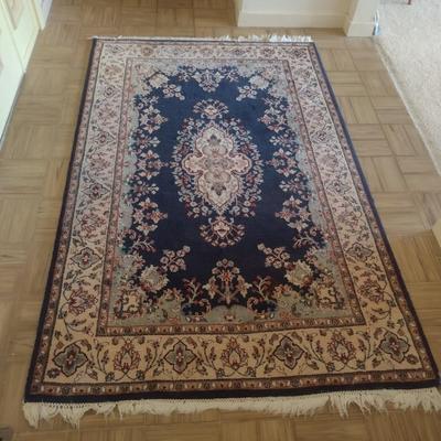 Persian Style Area Rug with Fringe
