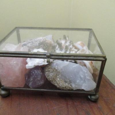 Collection of Shells and Minerals (see all pictures) - D