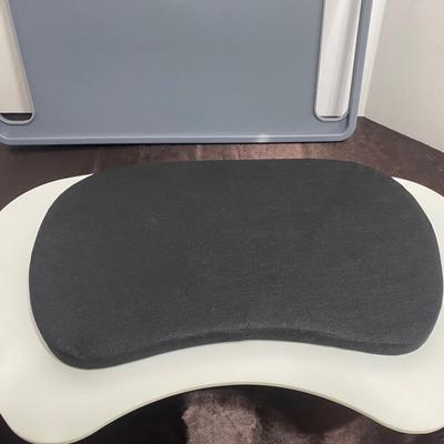Lap Trays