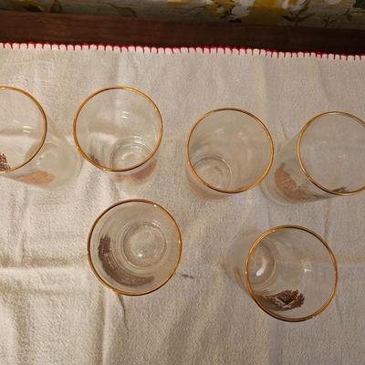 6 vintage New Jersey Souvenir Glasses Princeton, Morven, Morristown, Rutgers