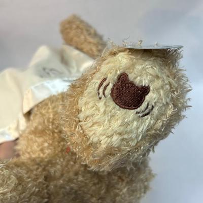 Baby GUND Peek a Boo Bear Battery Operated Stuffed Plush