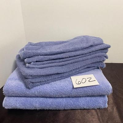 2 Blue Towel Sets