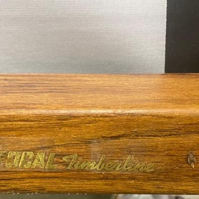Vintage Projector Screen