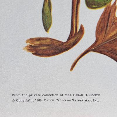 Signed Charles Crume Jr. - Plate 7 - Nature Art Lithograph