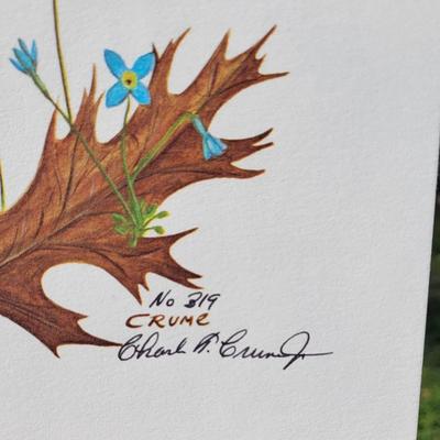 Signed Charles Crume Jr. - Plate 7 - Nature Art Lithograph