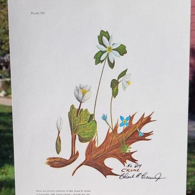 Signed Charles Crume Jr. - Plate 7 - Nature Art Lithograph