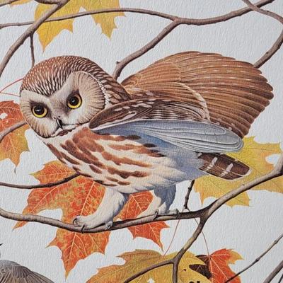 Signed Arthur Singer 'Saw-whet Owl' Lithograph
