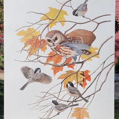 Signed Arthur Singer 'Saw-whet Owl' Lithograph