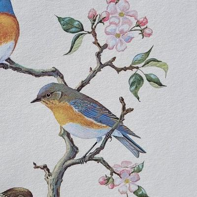 Signed Delores Roberson 'Eastern Bluebird' #90/2000 Lithograph