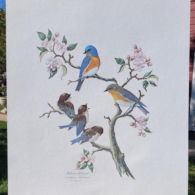 Signed Delores Roberson 'Eastern Bluebird' #90/2000 Lithograph