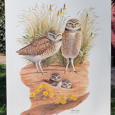 Signed Arthur Singer 'Burrowing Owl' Lithograph