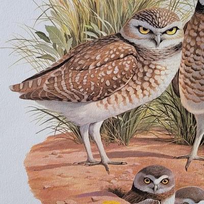 Signed Arthur Singer 'Burrowing Owl' Lithograph