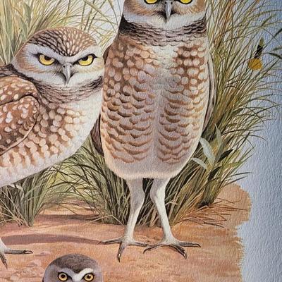 Signed Arthur Singer 'Burrowing Owl' Lithograph