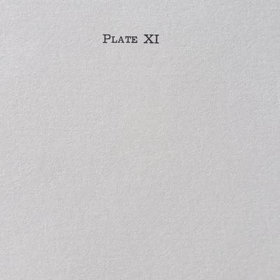 Signed Charles Crume Jr. -Plate 11-