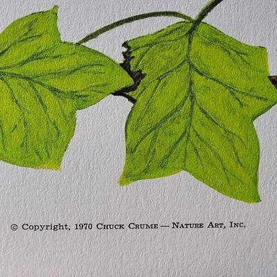 Signed Charles Crume Jr. -Plate 13- Lithograph