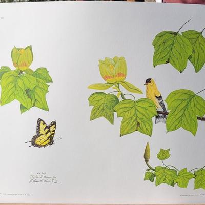 Signed Charles Crume Jr. -Plate 13- Lithograph