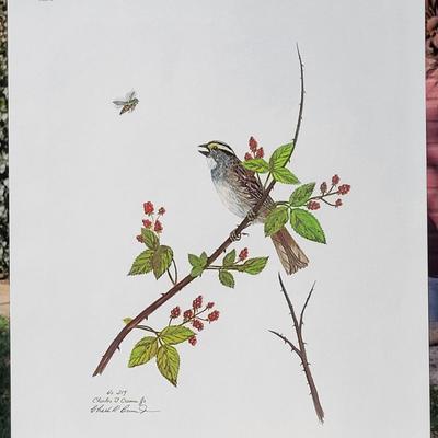 Signed Charles Crume Jr. -Plate 6- Lithograph