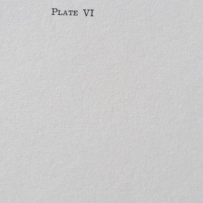 Signed Charles Crume Jr. -Plate 6- Lithograph