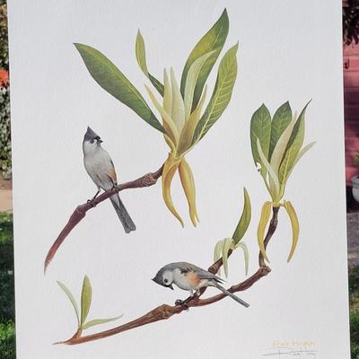 Signed Ray Harm 'Tufted Titmouse' Lithograph