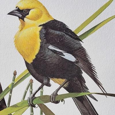 Signed Ray Harm 'Yellow-headed Blackbird' Lithograph
