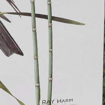 Signed Ray Harm 'Yellow-headed Blackbird' Lithograph
