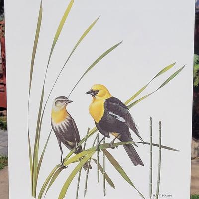 Signed Ray Harm 'Yellow-headed Blackbird' Lithograph