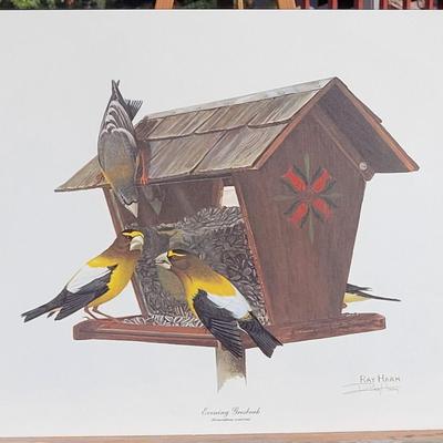 Signed Ray Harm 'Evening Grosbeak' Lithograph