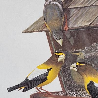 Signed Ray Harm 'Evening Grosbeak' Lithograph