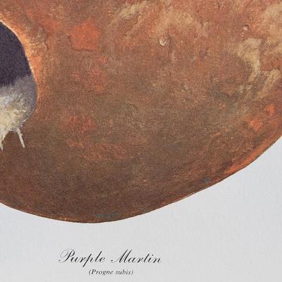 Signed Ray Harm 'Purple Martin' Lithograph