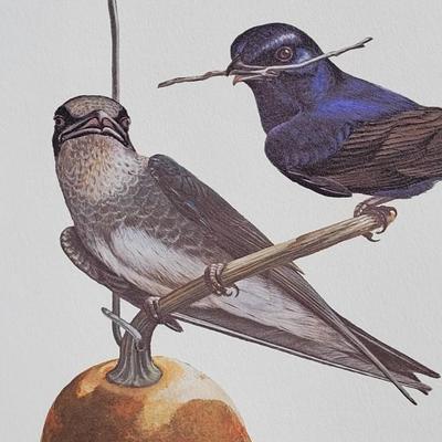 Signed Ray Harm 'Purple Martin' Lithograph