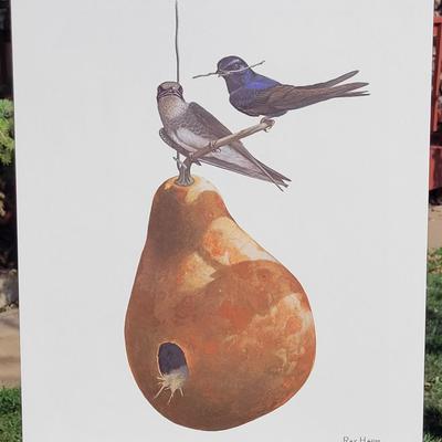 Signed Ray Harm 'Purple Martin' Lithograph