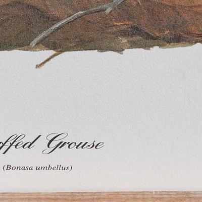 Signed Ray Harm 'Ruffed Grouse' Lithograph