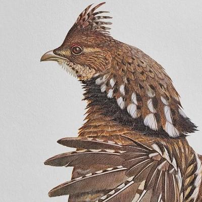Signed Ray Harm 'Ruffed Grouse' Lithograph