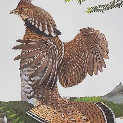 Signed Ray Harm 'Ruffed Grouse' Lithograph