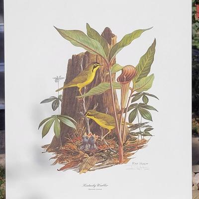 Signed Ray Harm 'Kentucky Warbler' Lithograph