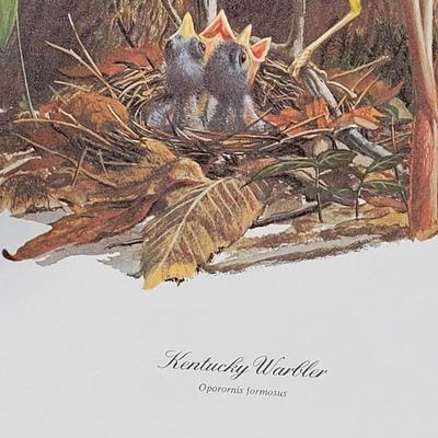 Signed Ray Harm 'Kentucky Warbler' Lithograph