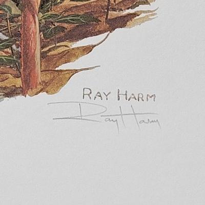 Signed Ray Harm 'Kentucky Warbler' Lithograph