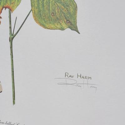 Signed Ray Harm 'Yellow-billed Cuckoo' Lithograph