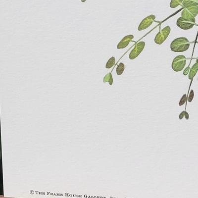 Signed Ray Harm 'Carolina Wren' Lithograph