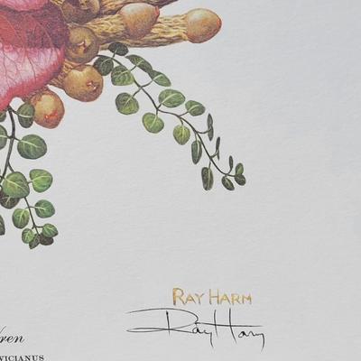 Signed Ray Harm 'Carolina Wren' Lithograph